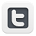 Follow on Twitter Twitter icon