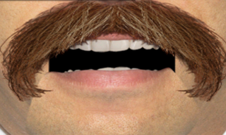 GEICO BroStache Android App Stache