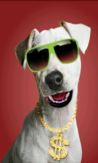 GEICO BroStache Yeah Dawg